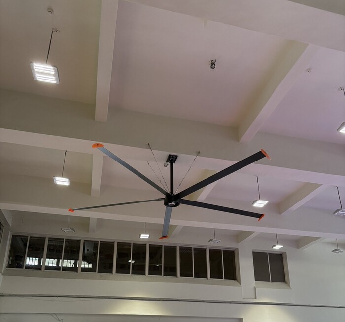 體育館完工實體照圖片